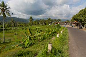 Munduk