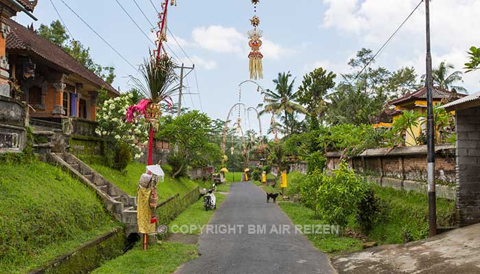 Ubud - Rice paddy wandeltocht