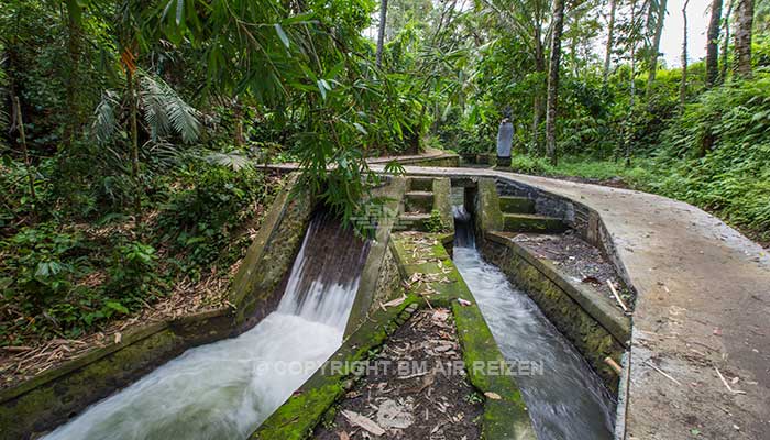 Ubud - Rice paddy wandeltocht