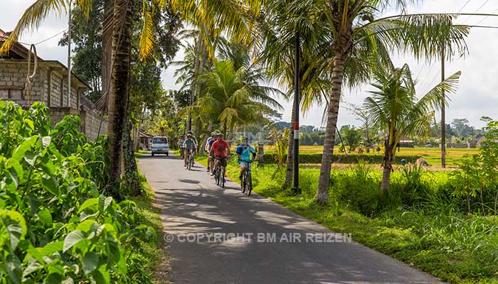 Ubud - Fietstour