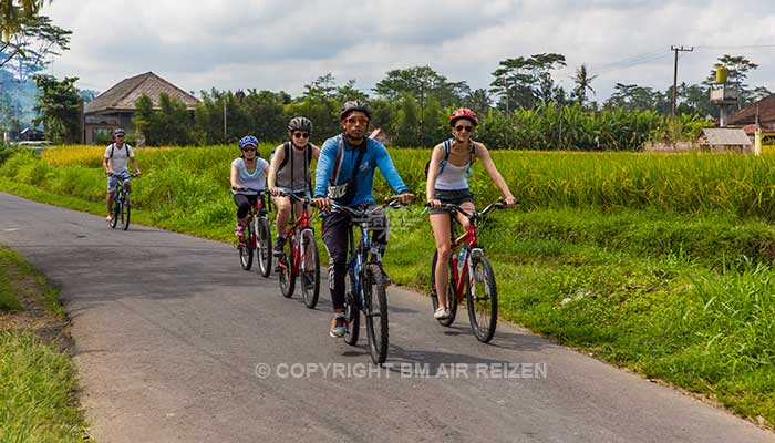 Ubud - Fietstour