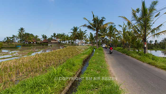 Ubud - Fietstour