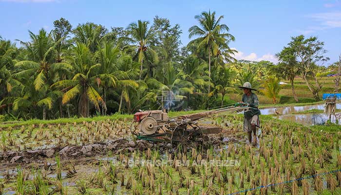 Ubud - Fietstour