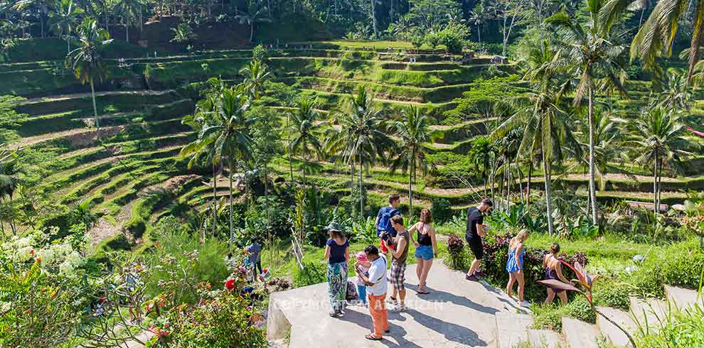 Ubud - Tegalalang rijstterrassen