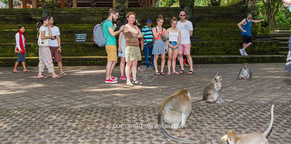 Ubud - Monkey Forest