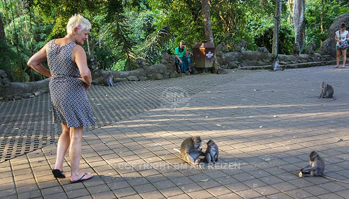 Ubud - Apenbos