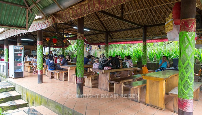 Ubud - Ayung River Rafting