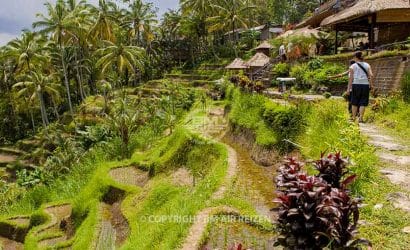 Ubud Startpakket