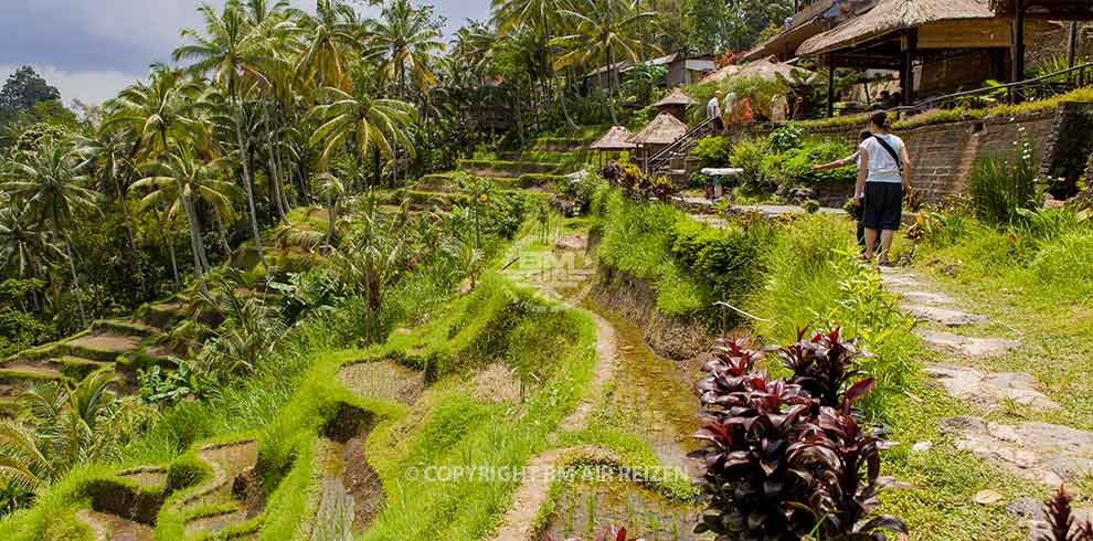 Ubud Startpakket