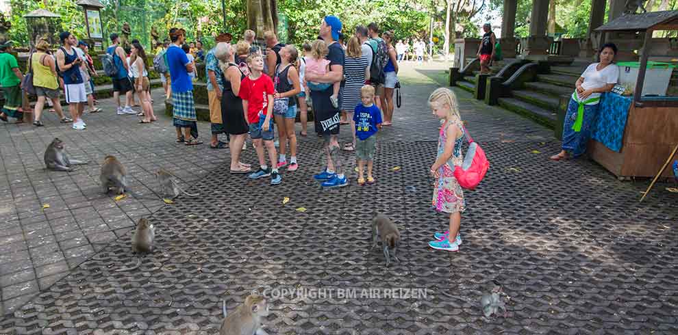 Ubud - Monkey Forest