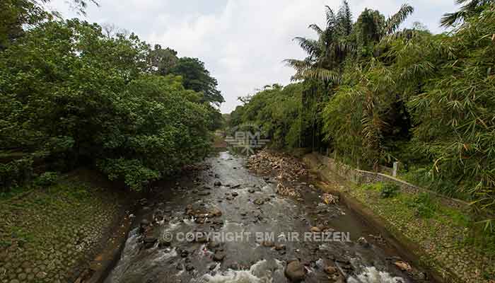 Bogor - Kebun Raya bogor