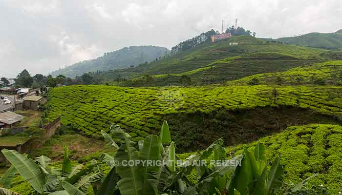 Java - Puncak Pass