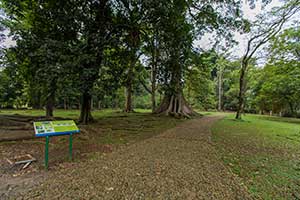 Bogor - Kebun Raya Bogor