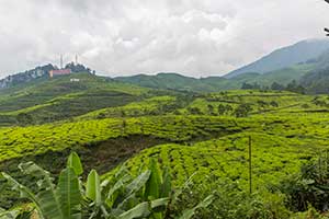 Java - Puncak Pass