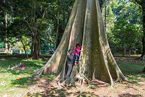 Bogor - Kebun Raya Bogor