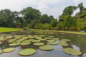 Bogor - Kebun Raya Bogor