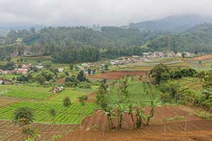 Java - Puncak Pass