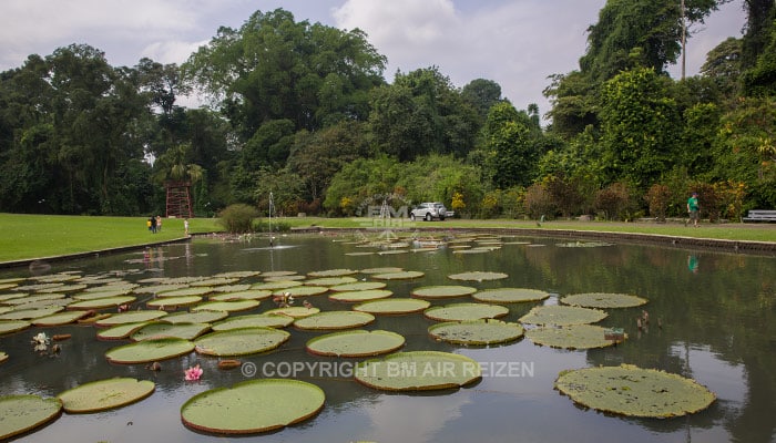 Bogor - Botanische tuin