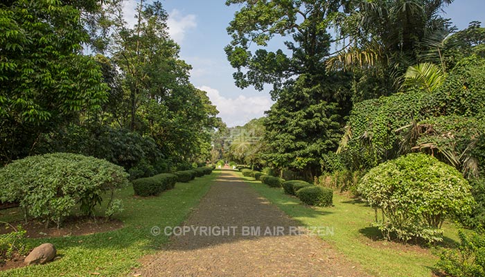 Bogor - Botanische tuin