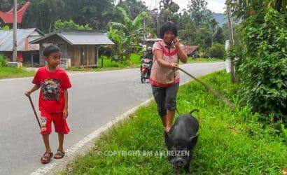 Toraja