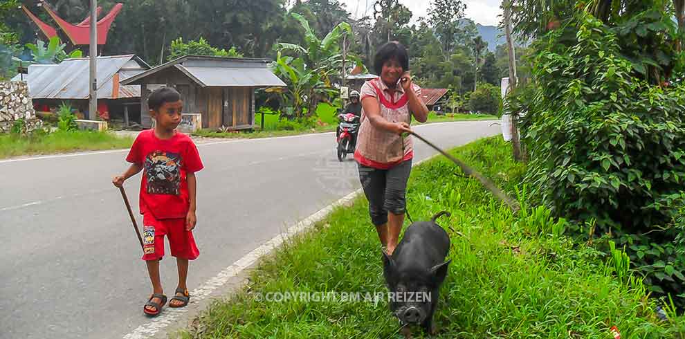 Verken Makassar en Toraja