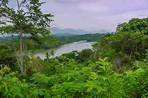 Sulawesi - Toraja