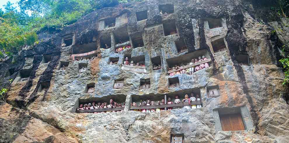 Toraja - Lemo