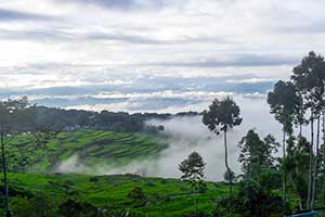 Sulawesi - Batutumonga