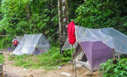 Leuser National Park