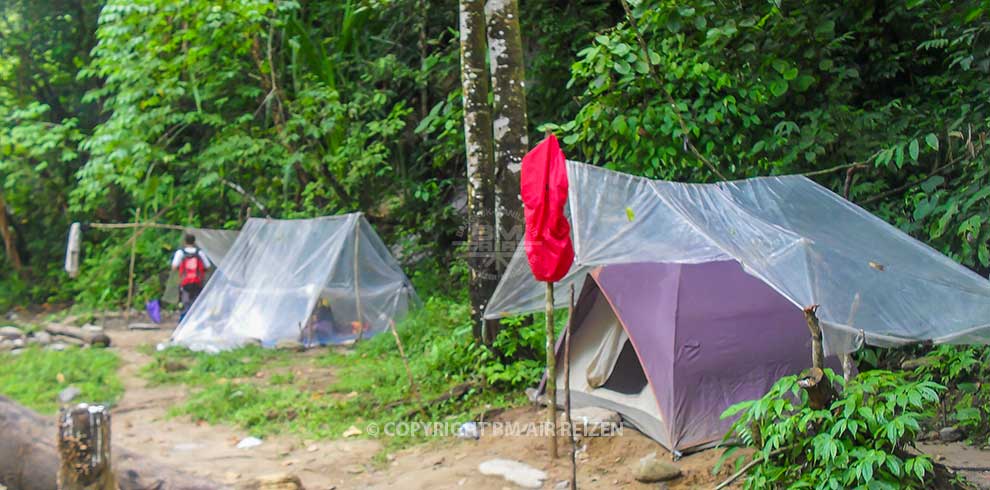 Leuser National Park Trekking