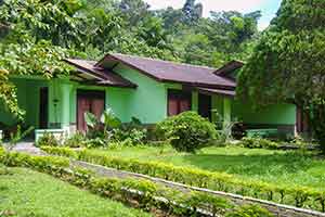 Bukit Lawang Cottages