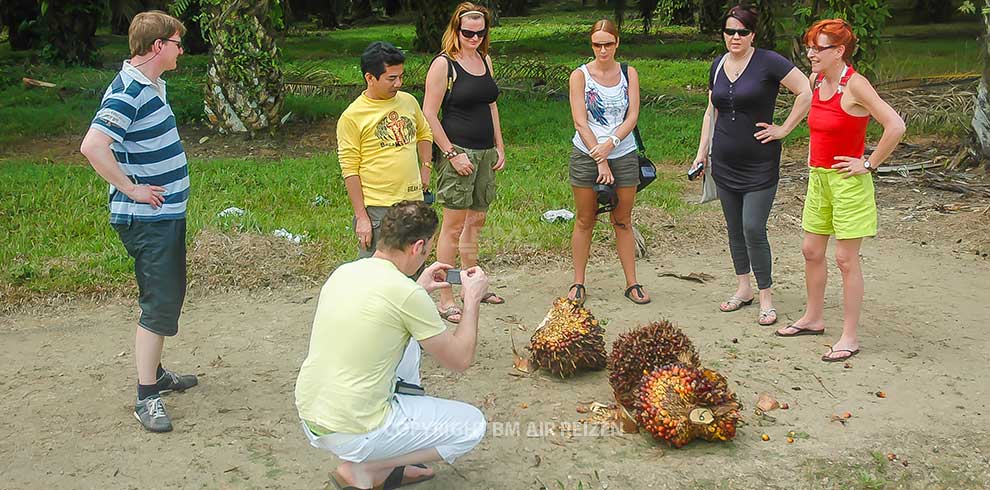 Sumatra - Bukit Lawang