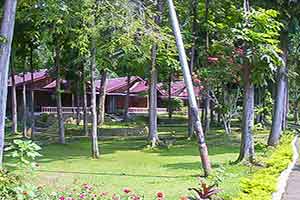 Sumatra - Bukit Lawang Cottages