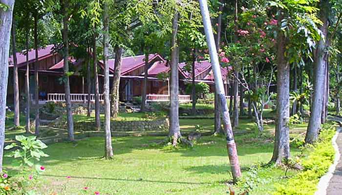 Bukit Lawang - Bukit Lawang Cottages