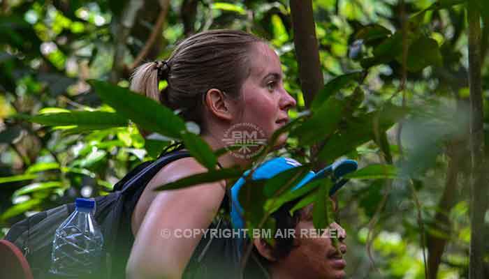 Sumatra - Leuser National Park