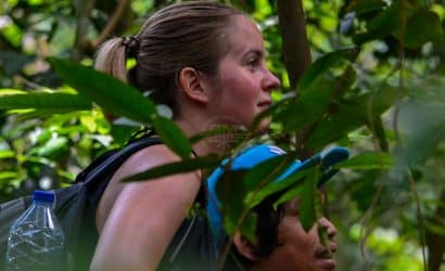 Sumatra - Leuser National Park