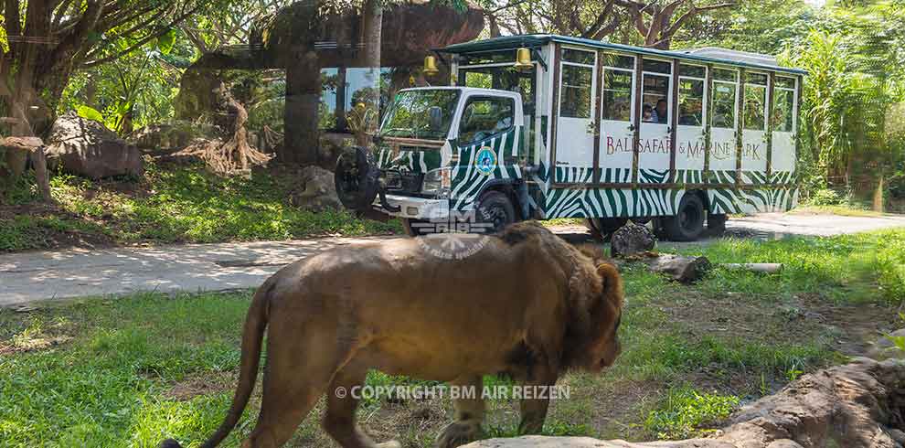 Bali Safari & Marine Park