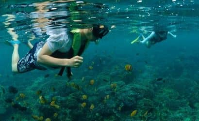 Nusa Lembongan - snorkelen