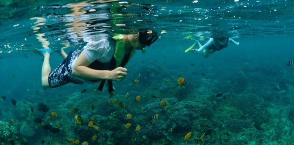 Nusa Lembongan - snorkelen