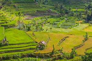 Bali - Bukit Jambul