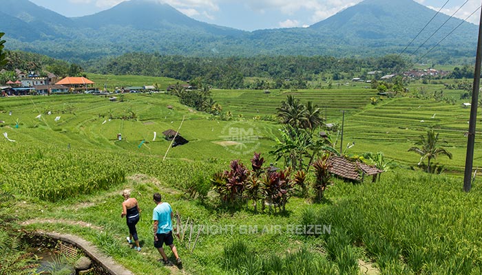 Bali - Jatiluwih rijstterrassen