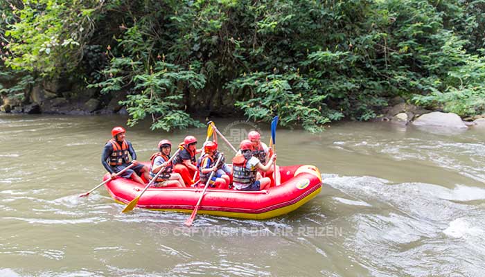 Bali - Ayung river raften