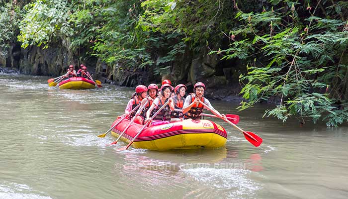 Bali - Ayung river raften