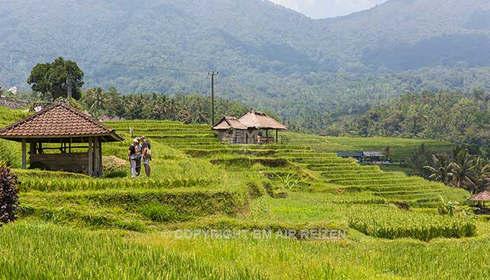 Bali - Jatiluwih rijstterrassen