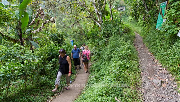 Bali - Munduk watervallen