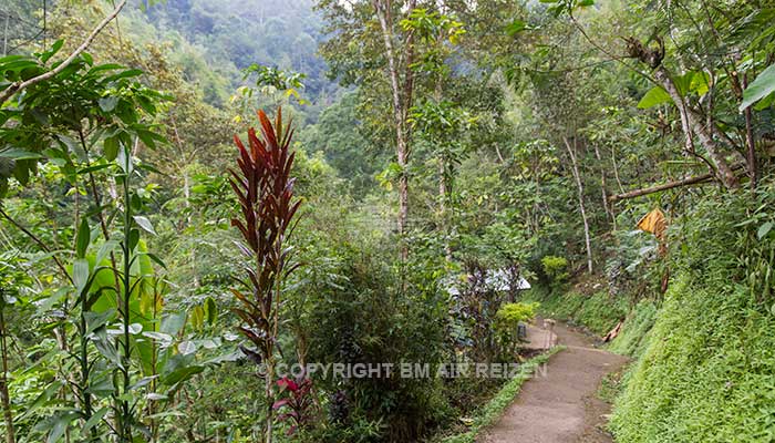 Bali - Munduk watervallen