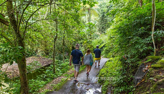 Bali - Munduk watervallen