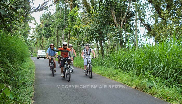 Ubud - Fietstour