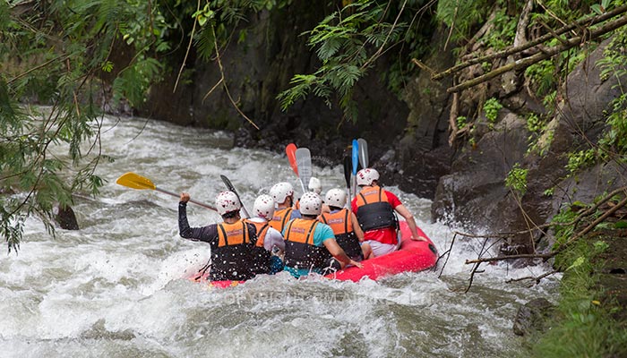 Ubud - Ayung River rafting