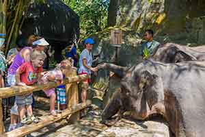 Bali Safari & Marine Park